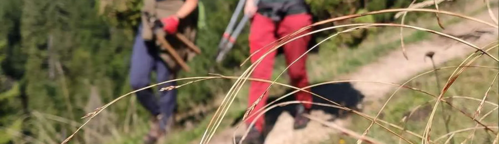 Schwenden Königsalm 2025 | © Der Tegernsee Thomas Müller