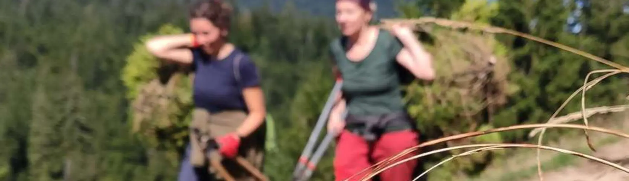 Schwenden Königsalm 2025 | © Der Tegernsee Thomas Müller