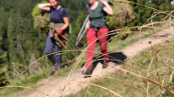 Schwenden Königsalm 2025 | © Der Tegernsee Thomas Müller