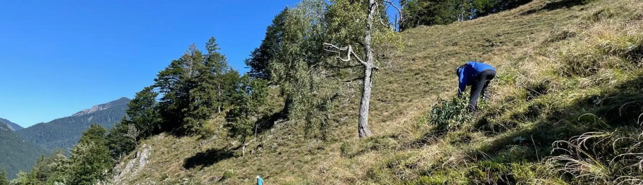 Schwenden Königsalm 2025 | © Der Tegernsee Ines Wagner