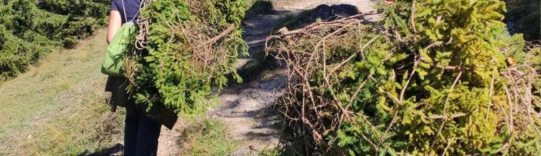 Schwenden Königsalm 2025_2 | © Der Tegernsee - Thomas Müller