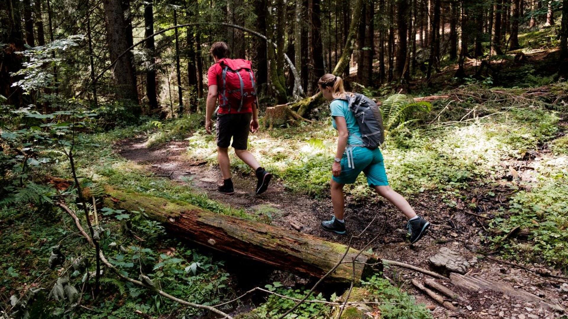 Wandern | © DAV Hans Herbig Wandern | © DAV Hans Herbig