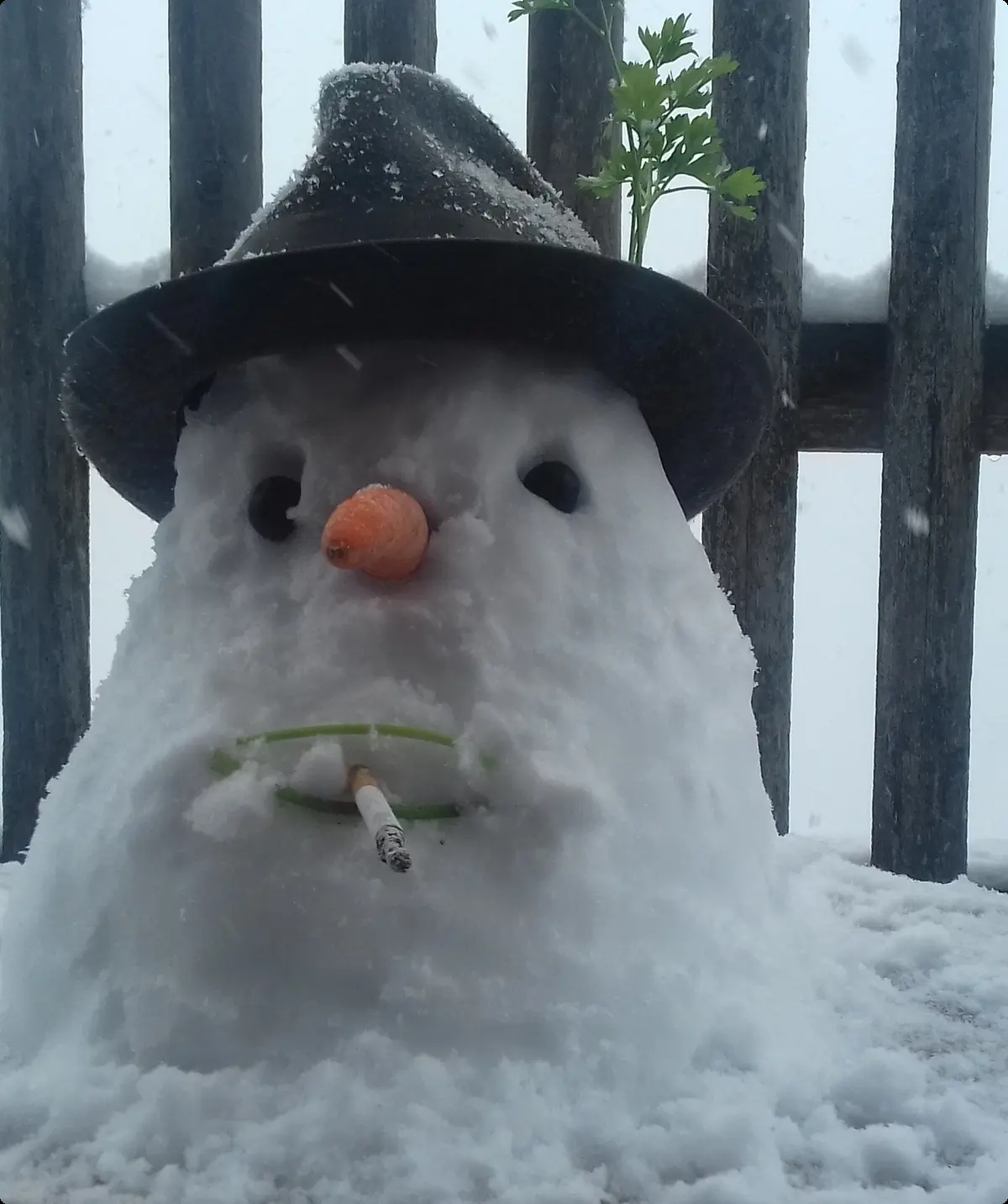 Schneemann | © Ludwig Michl