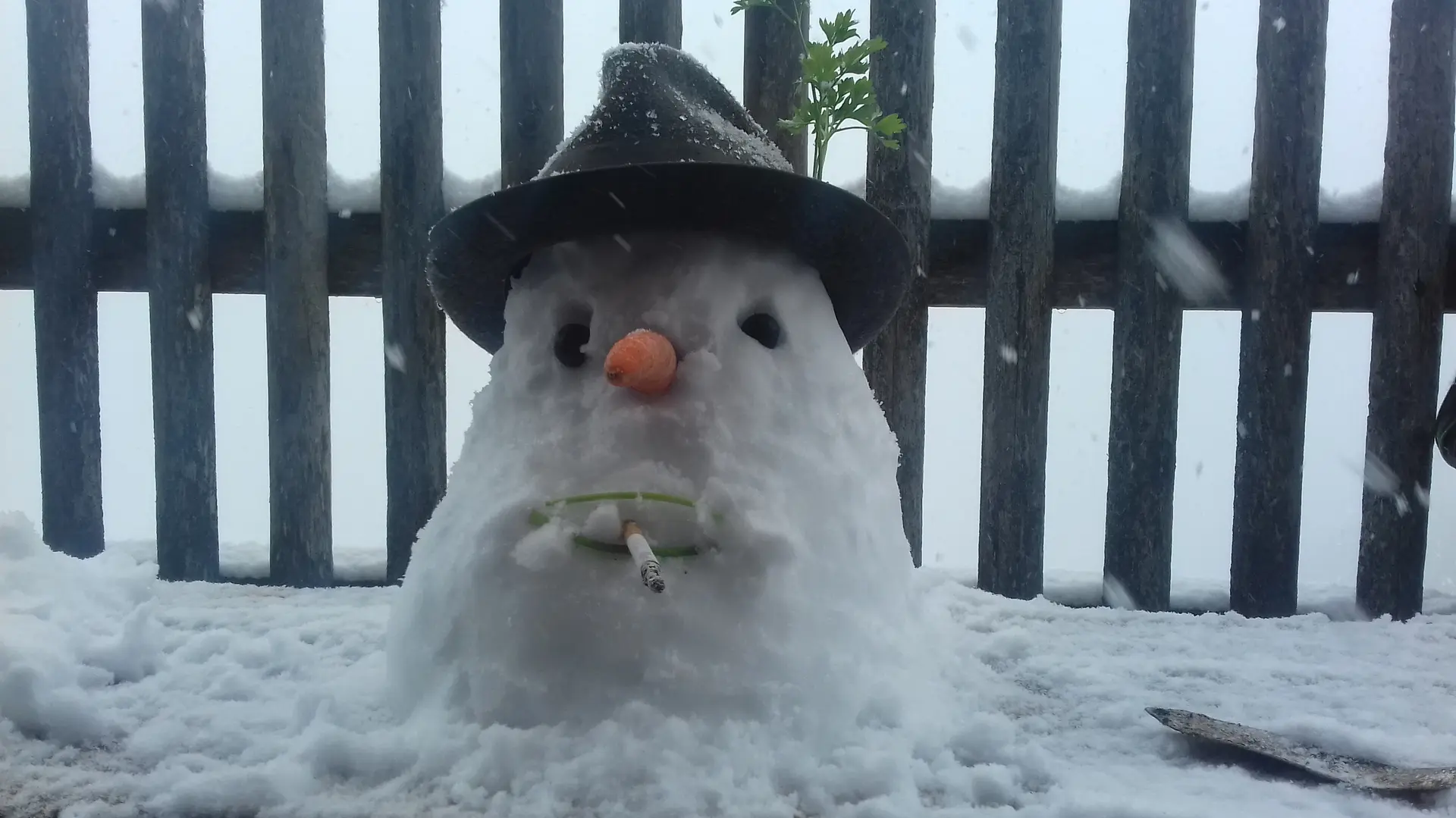 Schneemann | © Ludwig Michl