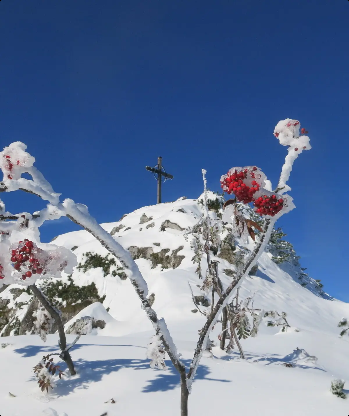 Winterlicher Blick auf Rossstein | © Ludwig Michl